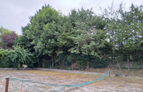 Réalisation d'un abattage d'une haie  sur Toulouse 