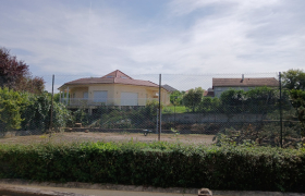 Réalisation d'un abattage d'une haie  sur Toulouse 