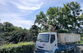 Réalisation d'un abattage d'une haie  sur Toulouse 