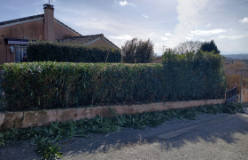 Élagage à La Salvetat-Saint-Gilles