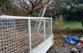 Élagage à La Salvetat-Saint-Gilles